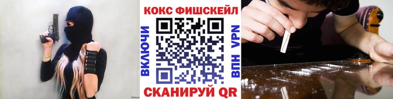 купить  сайты  Циолковский  Cocaine Эквадор 