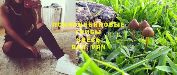 не бодяженный Алзамай
