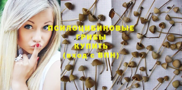 МДПВ Алексин