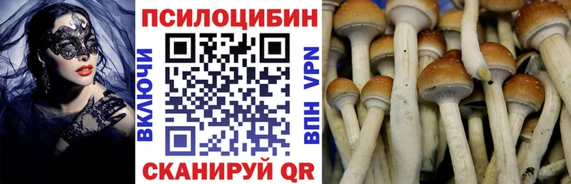 Псилоцибиновые грибы MAGIC MUSHROOMS Циолковский